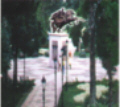 Plaza Bolívar de San Carlos
Construida en el año de 1996
Foto: Desarrollo Económico Cojedes
